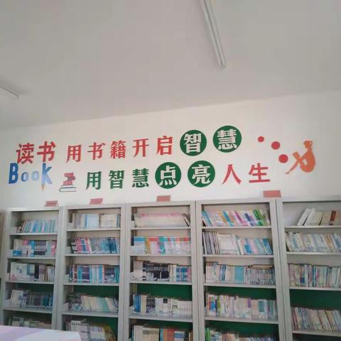 石各庄中心小学图书清查活动