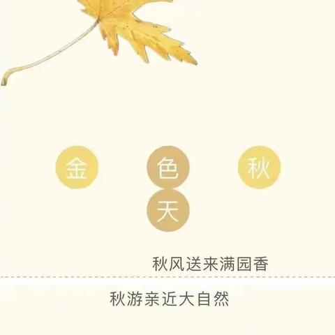 【走进乡村课堂 🍂畅享秋游好时光】——双佳幼儿园中班组秋游活动