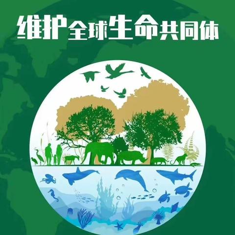 官渡区幼儿园中一班《生物多样性——雀舞翩翩》