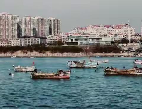 打卡小麦岛公园