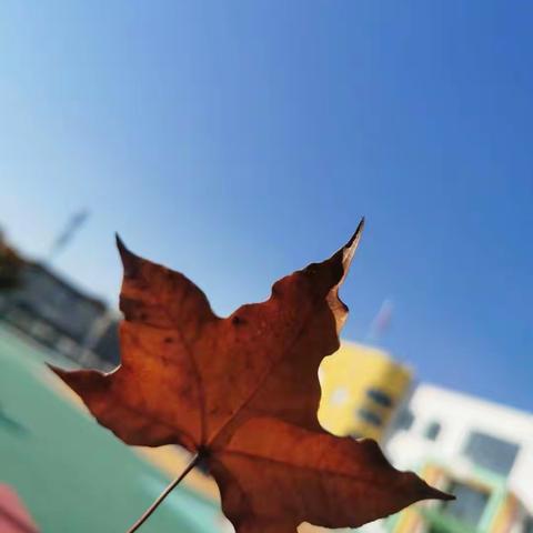 遇见美好 童年有诗相伴—— 新城幼儿园分园大二班