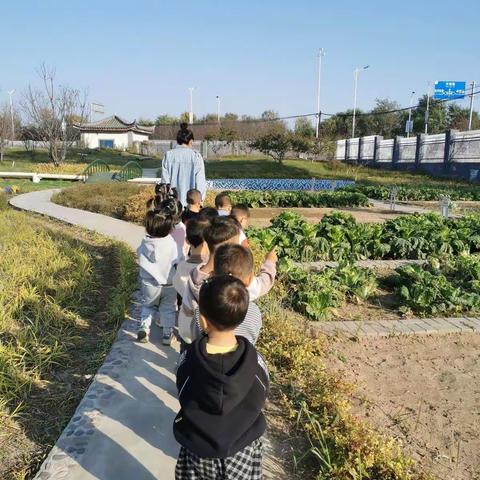 小一班一周小记———新城幼儿园分园