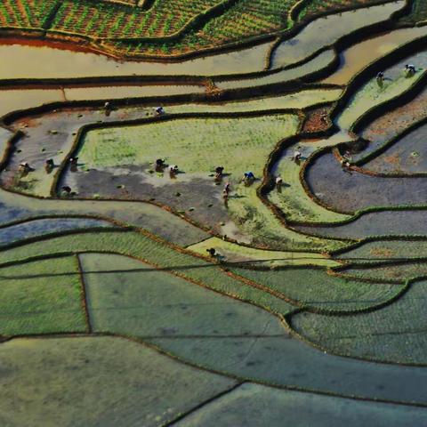 大美长宁（12）