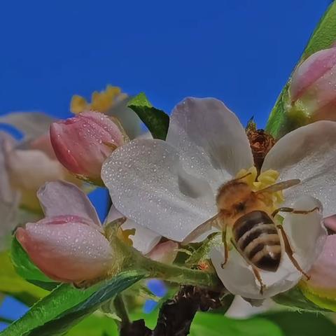 大美长宁（10）