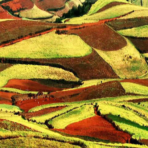 大美中国（2）七彩云南