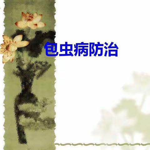 地方病防治知识宣传