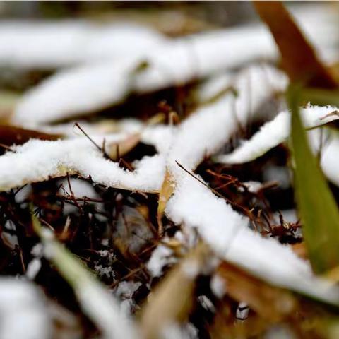 山丹下雪了