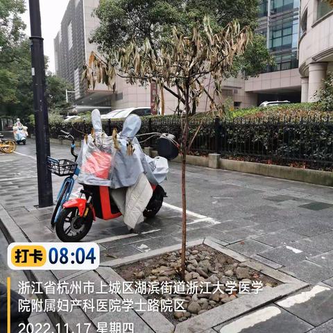 湖滨标段巡查问题情况汇总