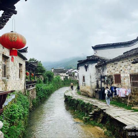 大道行思，取则行远 ——青岛市组织开展2021年小学美术骨干教师写生活动