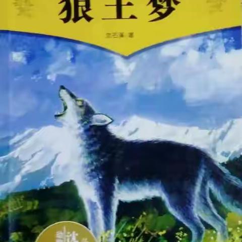 《狼王梦》读书心得