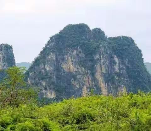 “尚德文化铸魂 红小队员寻根记”四（九）中队纪实