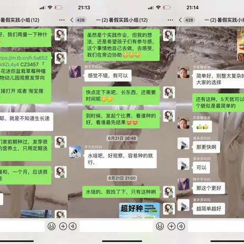 麻豌豆的奇妙生长之旅---一（2）班“劳动培育”暑假实践活动