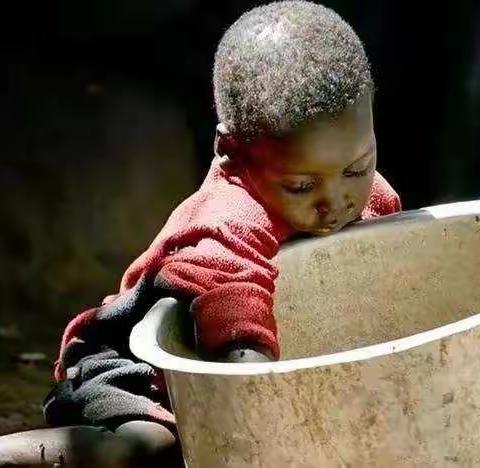 从也门看粮食危机