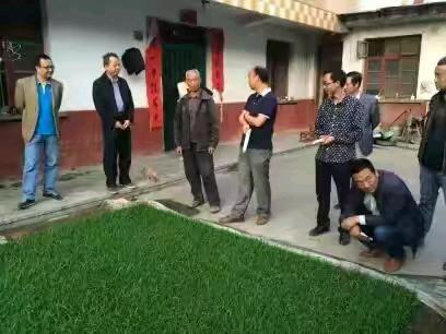 水稻硬地育秧技术
