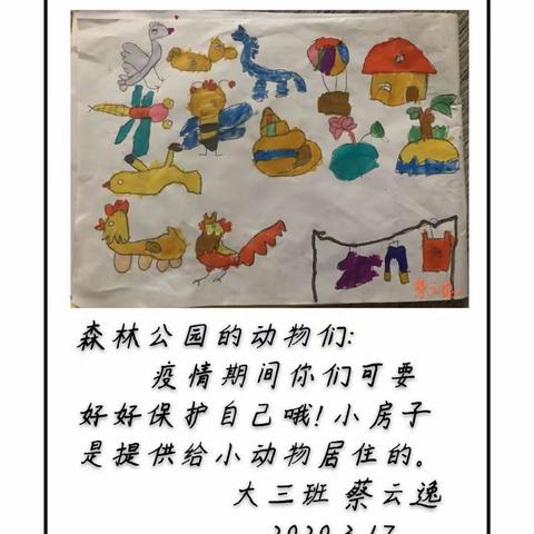 《人与自然》大班线上居家活动案例