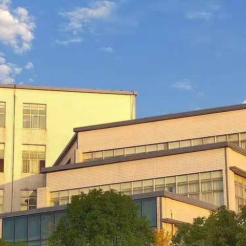 海绵宝宝🐯的美篇