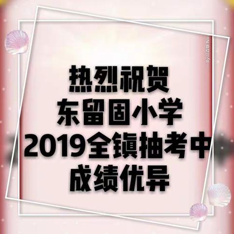 热烈祝贺东留固小学在2019年第二学期全镇抽考中成绩优异