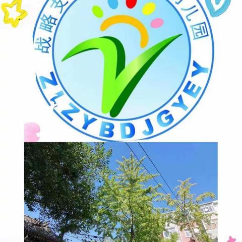 我和银杏树有个约会——中一班银杏树主题活动