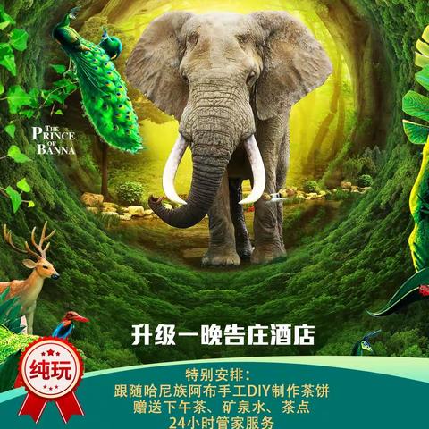 【雨林星空】西双版纳双飞五日游