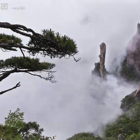 水墨三清山+徽式风情小镇二日游299/人