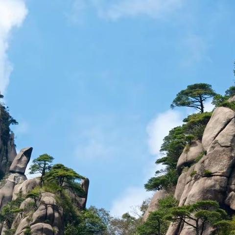 水墨丹青•三清山纯玩二日游299元