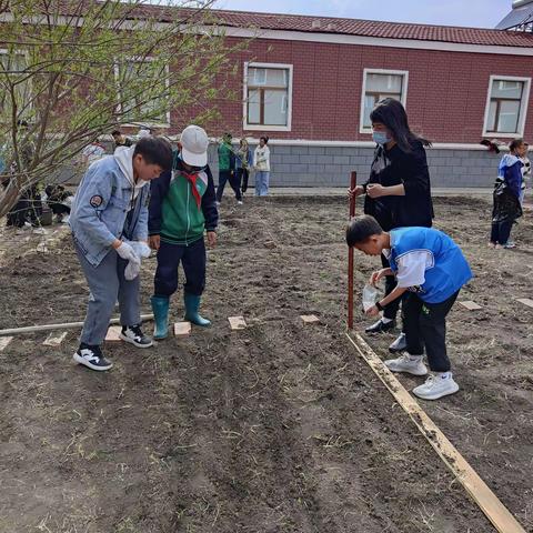 “师生菜地种菜忙，劳动实践乐趣多”—— 阿尔山市第二小学六年一班开展劳动实践教育活动