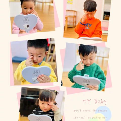 绿地小四班——“小”眼睛，“大”世界