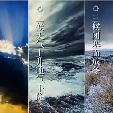 绿地中四班——清寒小雪，踏至而来