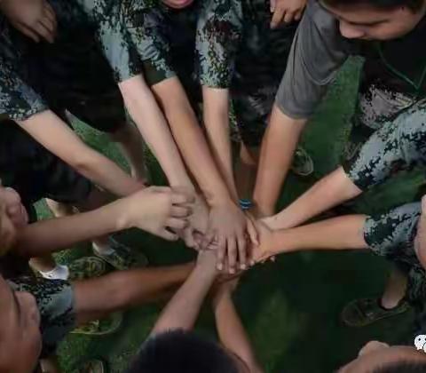 热血少年之我是特种兵