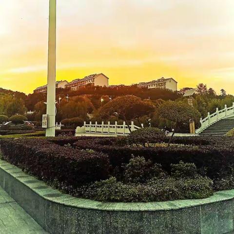 “大学生暑假回访母校”专项活动