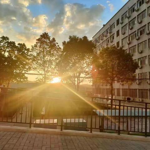 学思渐悟，我来记录