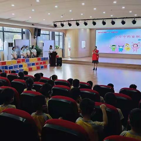 小小中药鉴别家——孟州市孟州幼儿园开展“中医文化进校园”活动