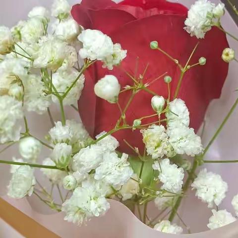 展望未来，未来可期        小教2105班褚校语