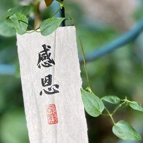 【感恩与感恩教育】01  感恩之心，生活之光