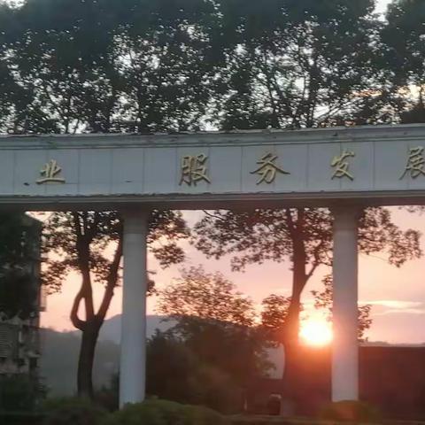 学思践悟  我来记录