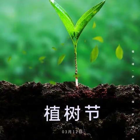 “绿”动生命 和孩子一起打开绿色的世界——县直幼儿园植树节活动