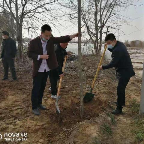 干群三月植树忙 防疫绿化两不误