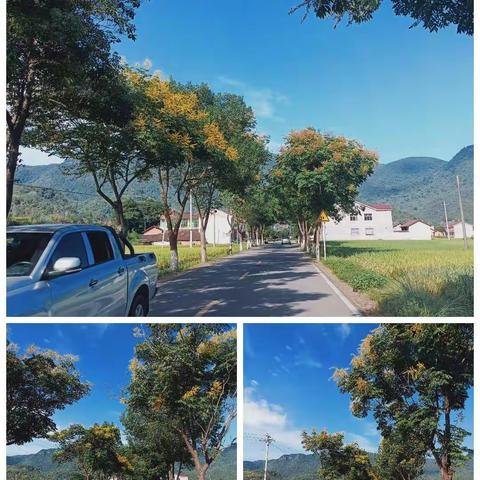上川的美篇