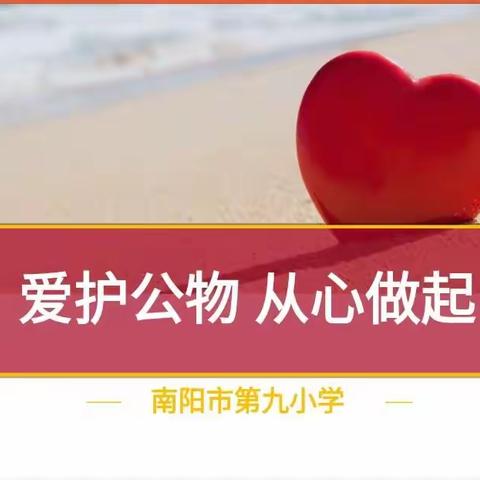 南阳市第九小学开展——《爱护公物，从心做起》主题教育活动