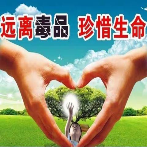 万宁市第二小学“禁毒宣传进校园，携手护航促成长”——禁毒知识讲座进校园主题活动