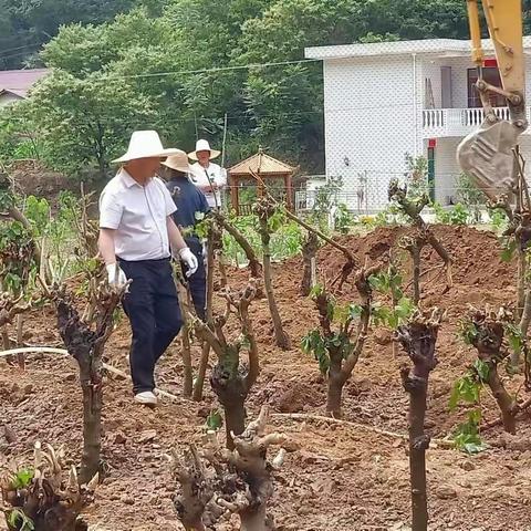 庙沟镇:干群团结一心 共建秦岭乡村