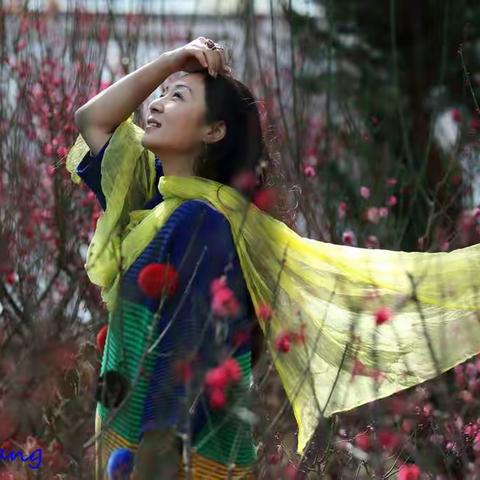 那些年，我曾拍过的梅花