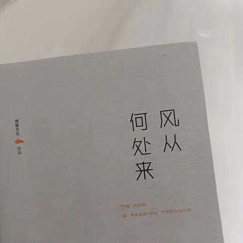 《风从何处来》