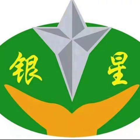 星娃游祖国 童心向未来——银星学校一年级期末“乐考”活动纪实