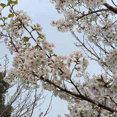 襄阳职业技术学院师范学院特殊教育学院学前教育2108王艳芳——回首2022  我来总结