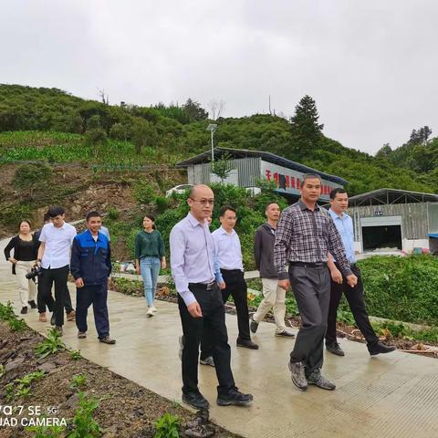 天峨县委书记陆祥红到更新乡上福村视察村集体经济项目