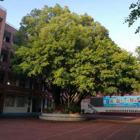 榕樟荫里花正艳，江山园迎学子归 ——葛岭中心小学2020年春季开学致三至五年级家长学生的一封信