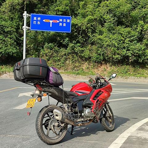 迷人的湖北武当山（七）2002.5捡