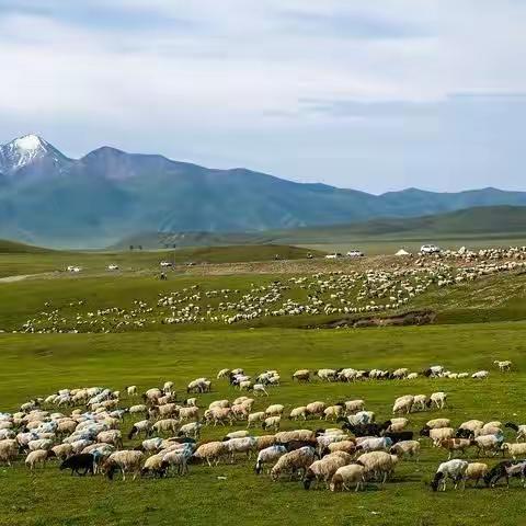 第二次新疆之行—独库公路2（三）捡