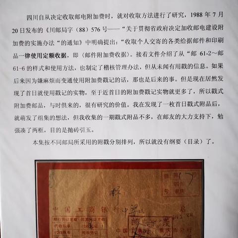 两框四川一期戳记附加费邮集